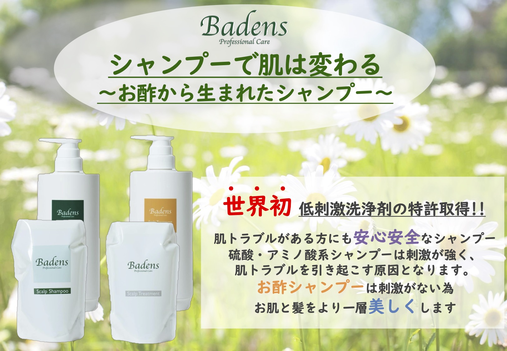 %e3%82%b7%e3%83%a3%e3%83%b3%e3%83%97%e3%83%bc%e3%83%88%e3%83%aa%e3%83%bc%e3%83%88%e3%83%a1%e3%83%b3%e3%83%88pop%e2%91%a1